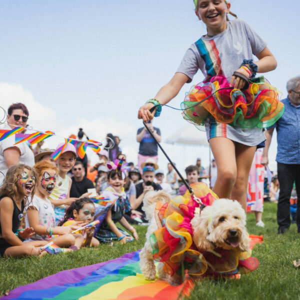 Rainbow Dog Fashion Show